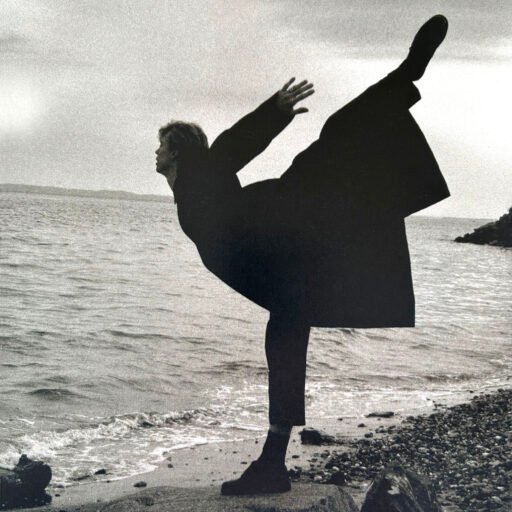 Bird — Vladimir Malahov